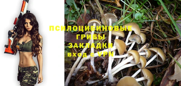метадон Алексеевка