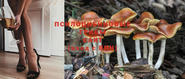 не бодяженный Алзамай